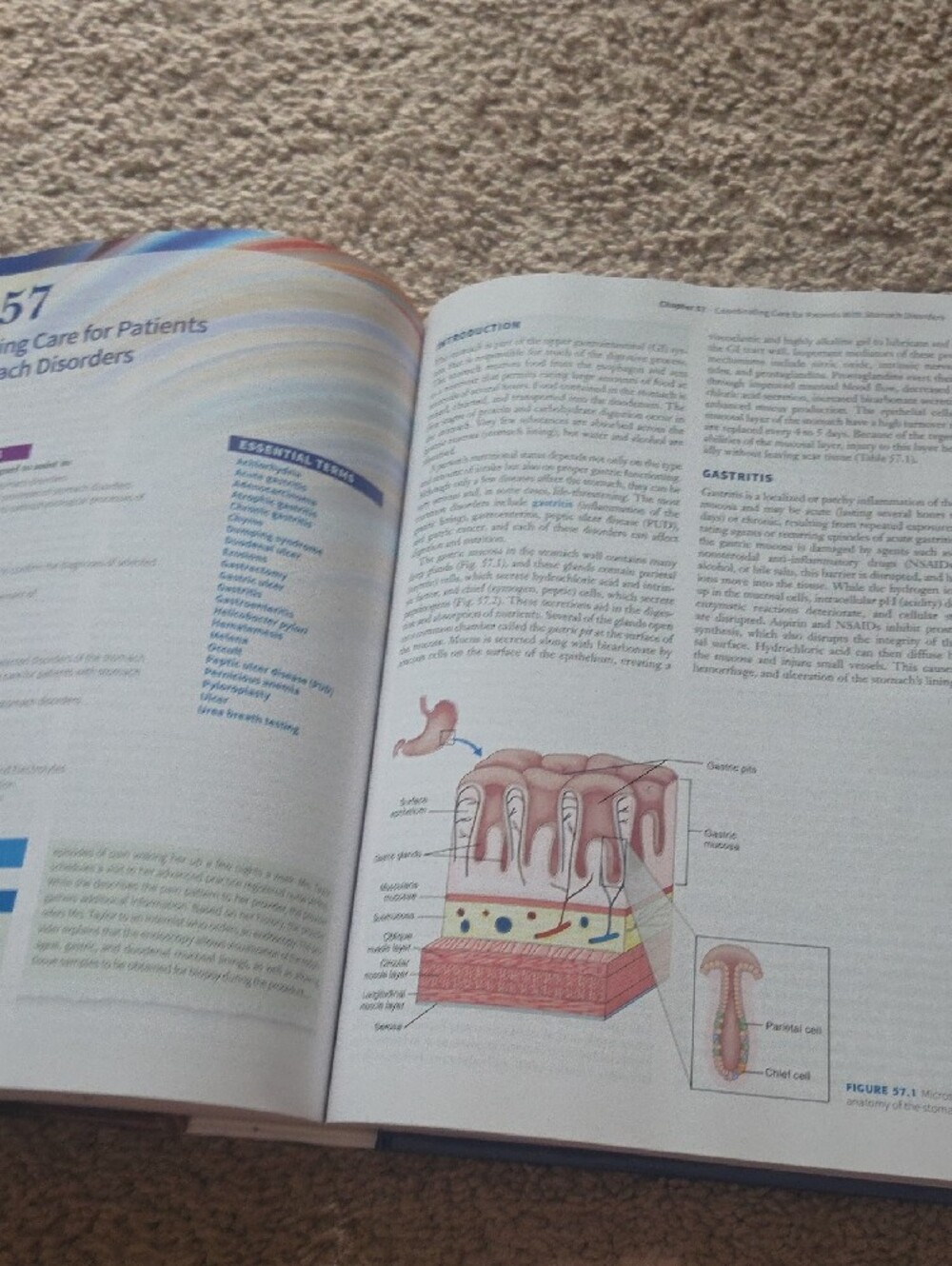 F.A. Davis Medical-Surgical Nursing Textbook - Blue Multi - Picture 10 of 10